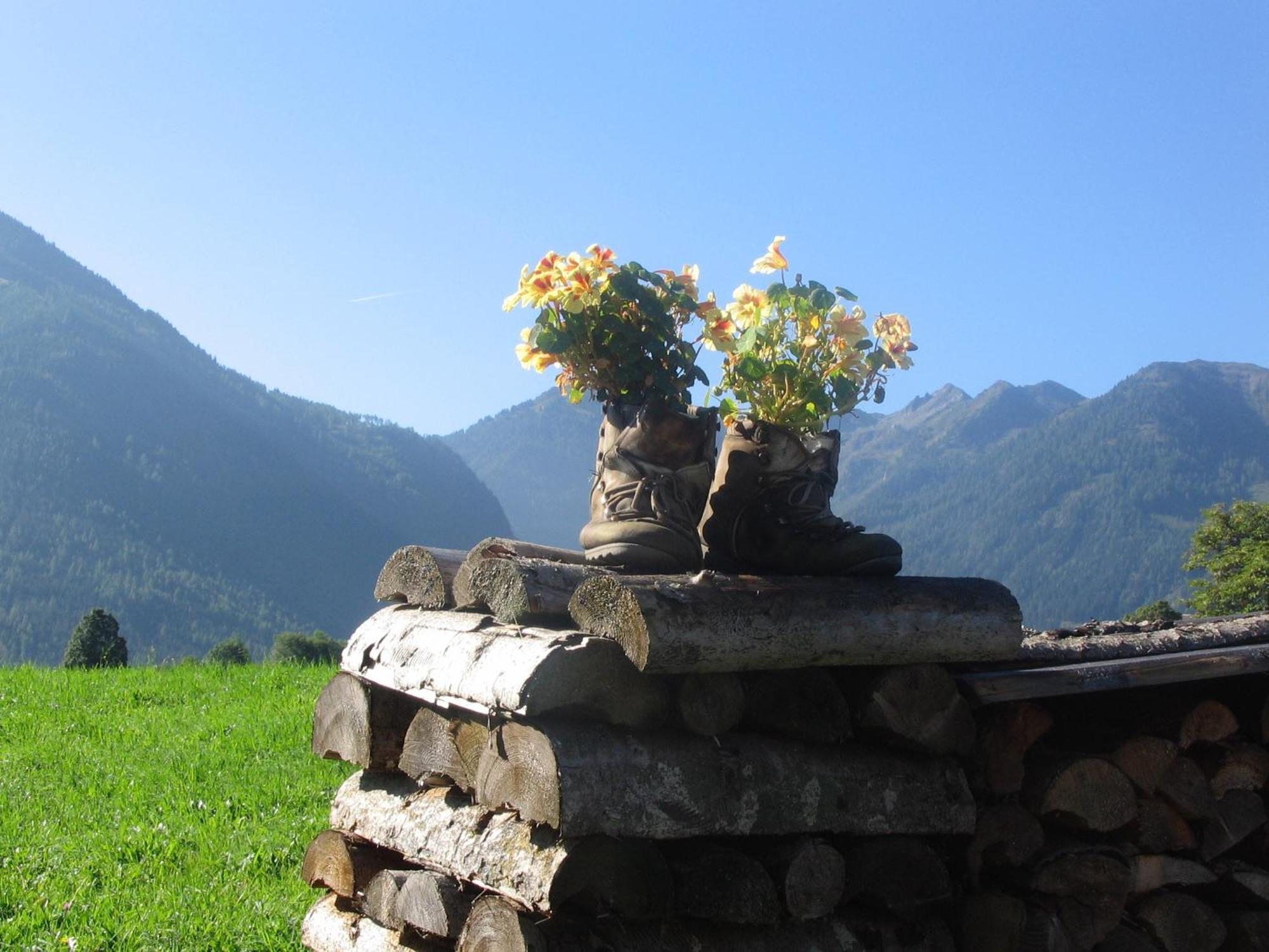 Landhaus Steiner Schladming Εξωτερικό φωτογραφία