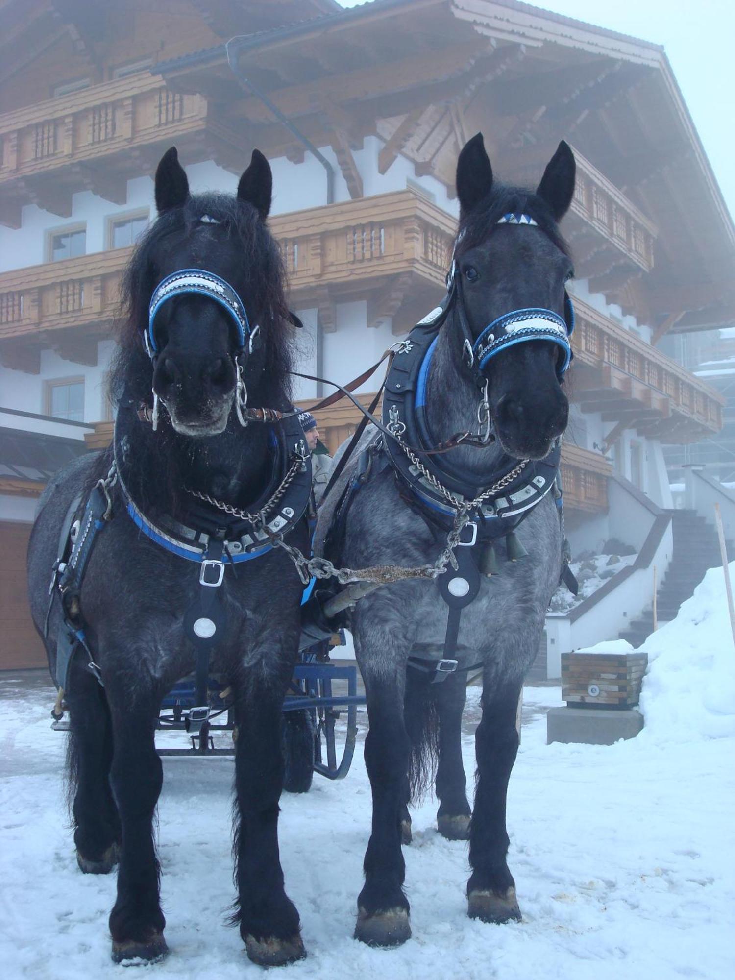 Landhaus Steiner Schladming Εξωτερικό φωτογραφία