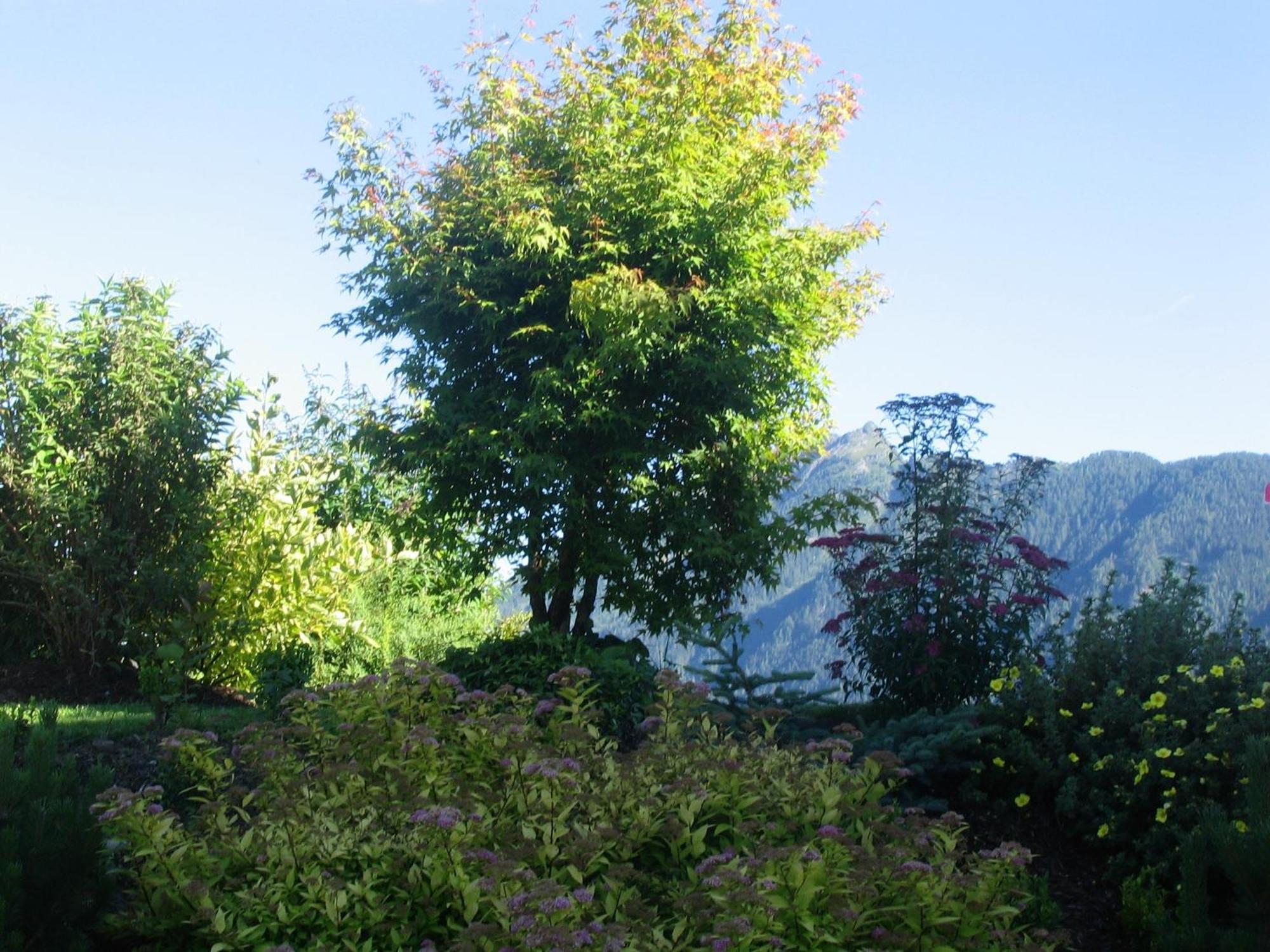 Landhaus Steiner Schladming Εξωτερικό φωτογραφία